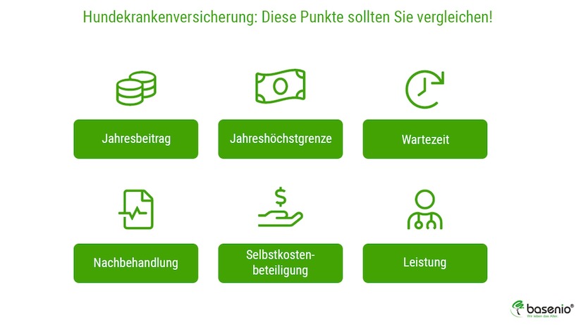 Angebote fĂŒr eine Hundekrankenversicherung können Sie nach diesen Kriterien vergleichen. Hundekrankenversicherung